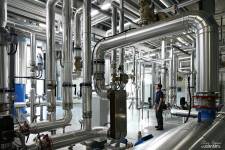 Olivier POGGIANTI - OLIVIER POGGIANTI